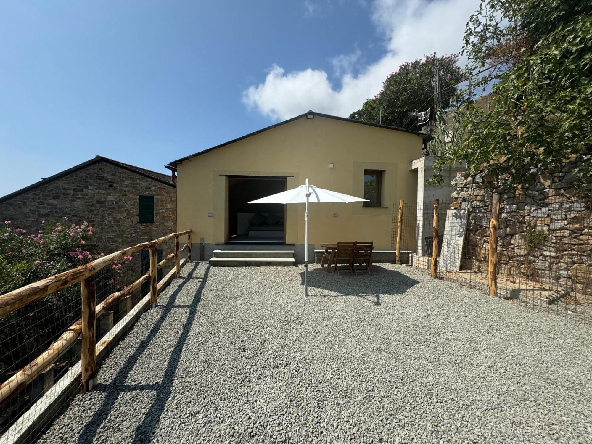 Tuvo * Levanto